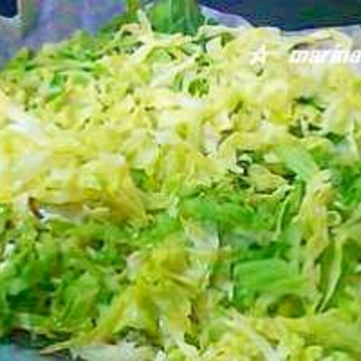 簡単で美味しい 春キャベツのチーズ焼き レシピ 作り方 By ポプリ501 楽天レシピ